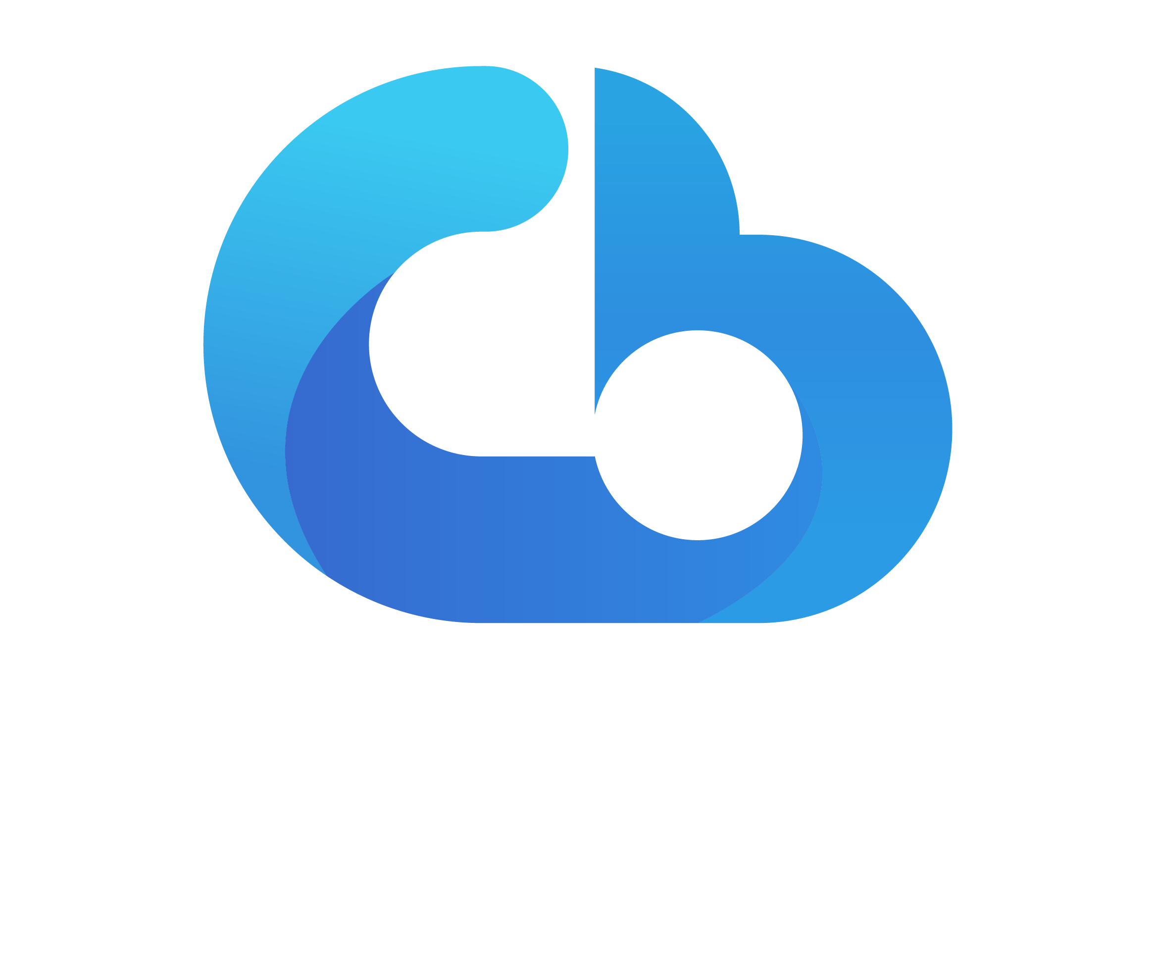 Cloud Bixo